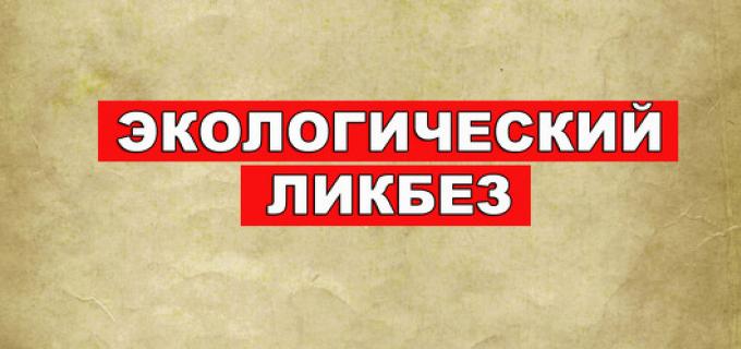 АПП СПб и Доксервис Экологический ликбез