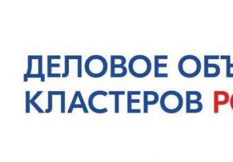 Логотип ДОК РФ